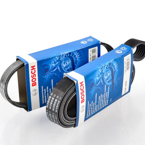 Bosch 6pk1698 5pk491 - 6pk1698,