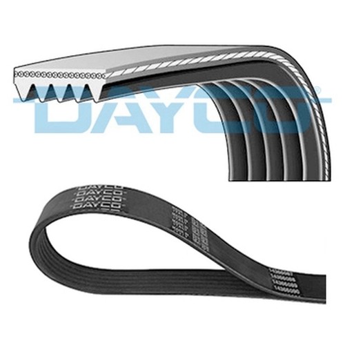 Dayco keilrippenriemen für - dayco,