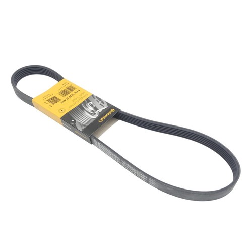 Continental 6pk1029 - continental,